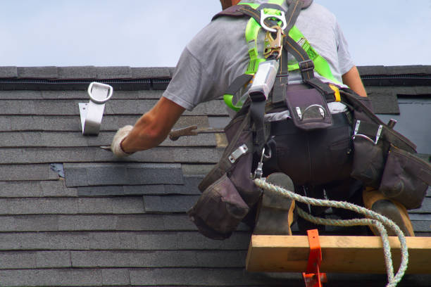 Roof Gutter Cleaning in Meridian, MS