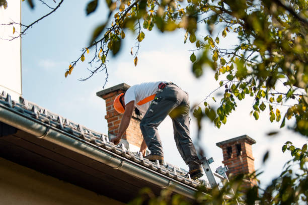 Roof Gutter Cleaning in Meridian, MS