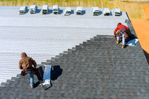 Best Roof Waterproofing Services  in Meridian, MS